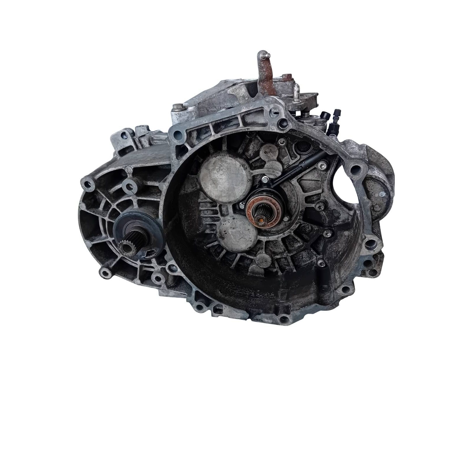 Miniatura 13