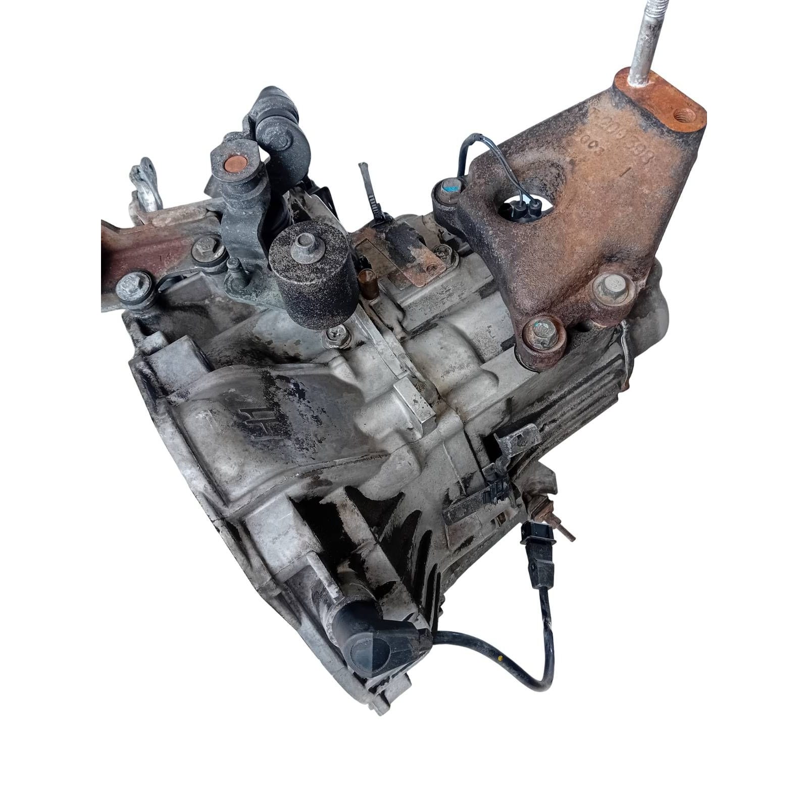 Miniatura 7