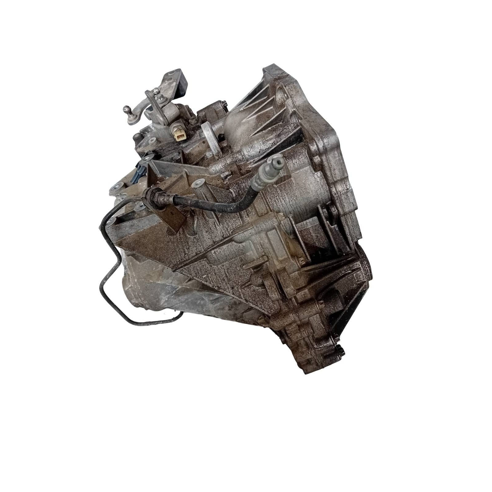 Miniatura 2