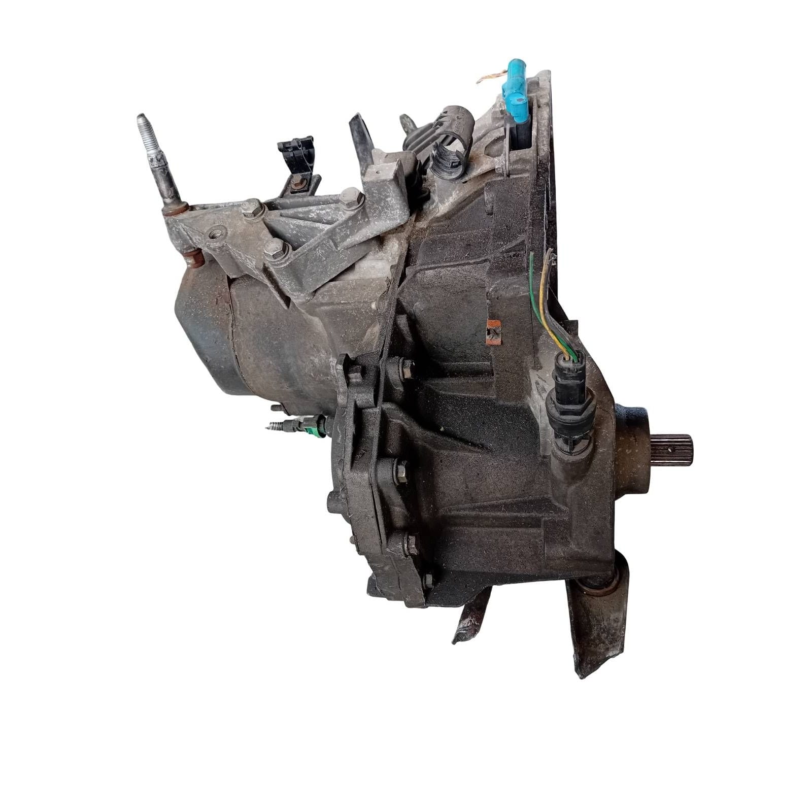 Miniatura 6