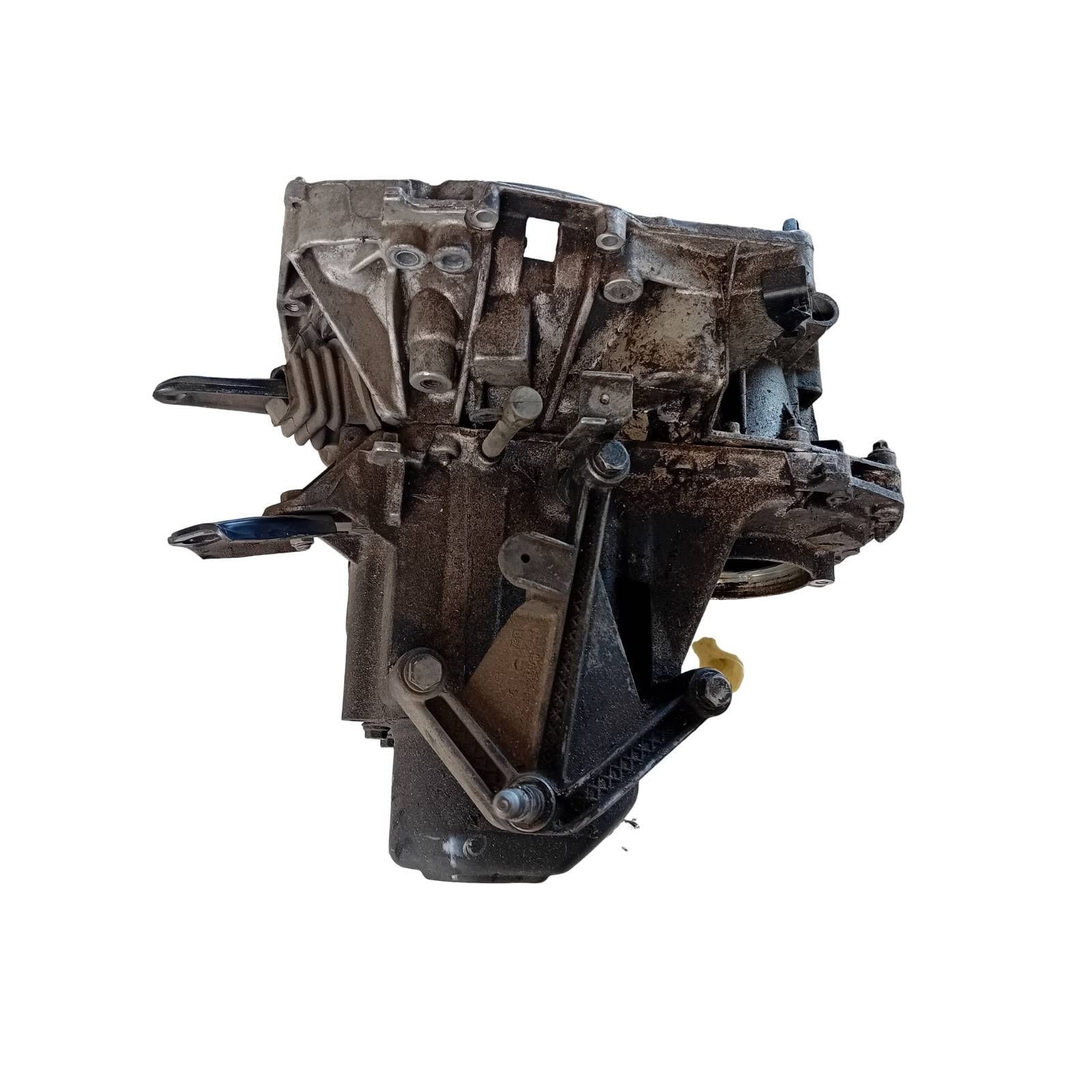 Miniatura 6