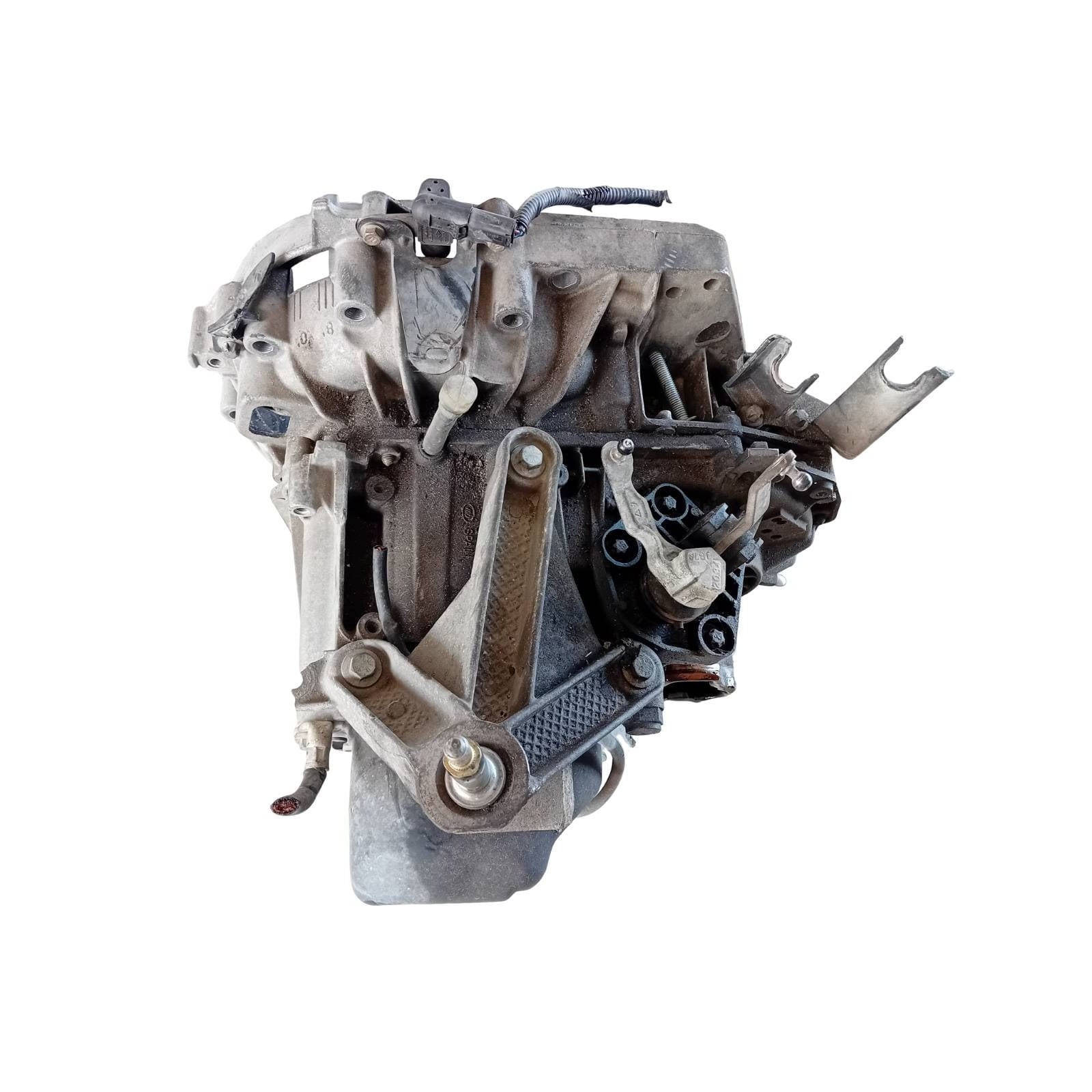 Miniatura 6