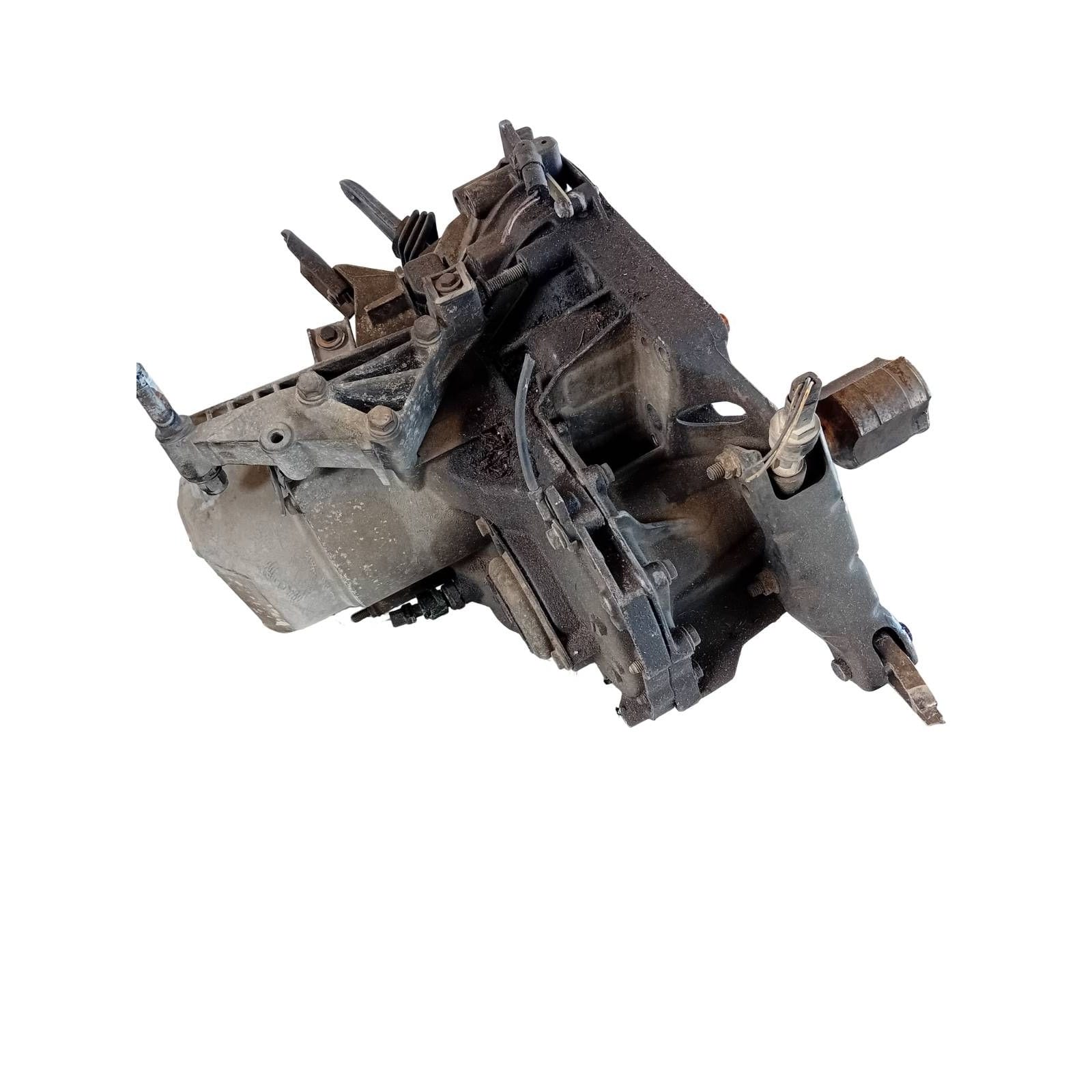 Miniatura 5