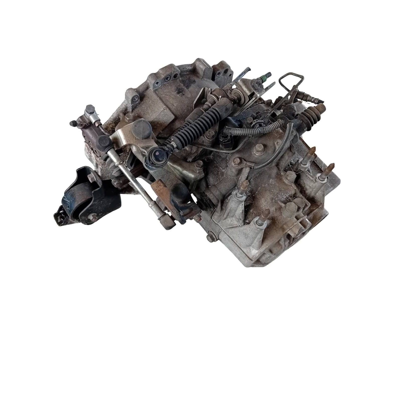 Miniatura 4