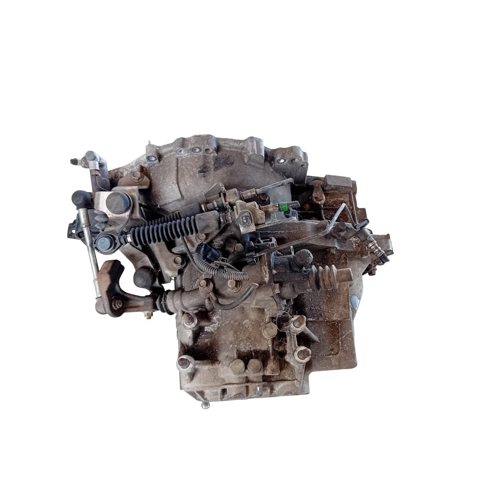 Miniatura 6