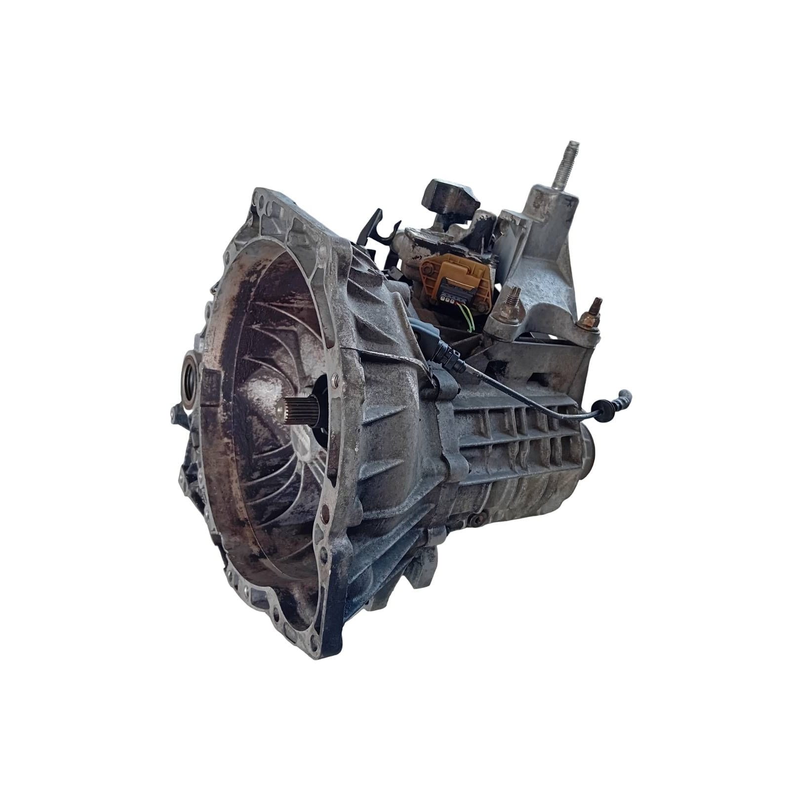 Miniatura 6