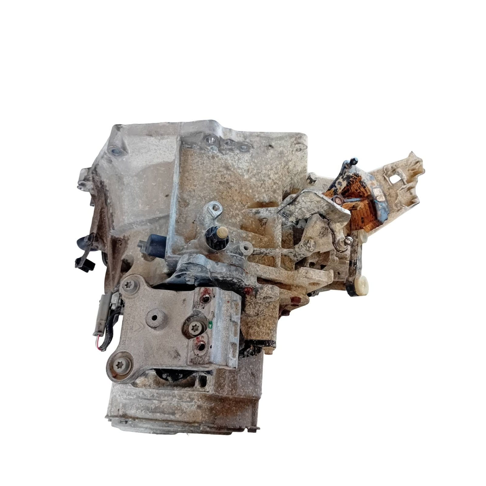 Miniatura 7