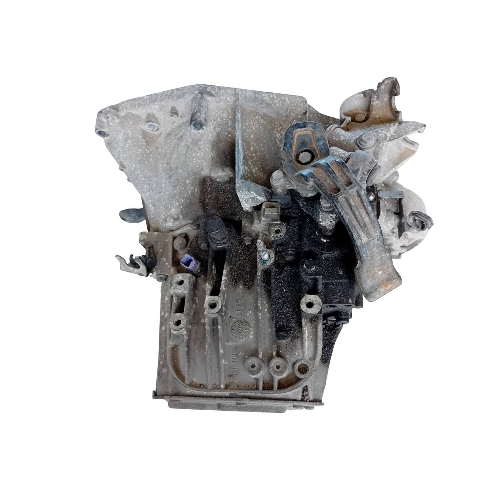 Miniatura 6