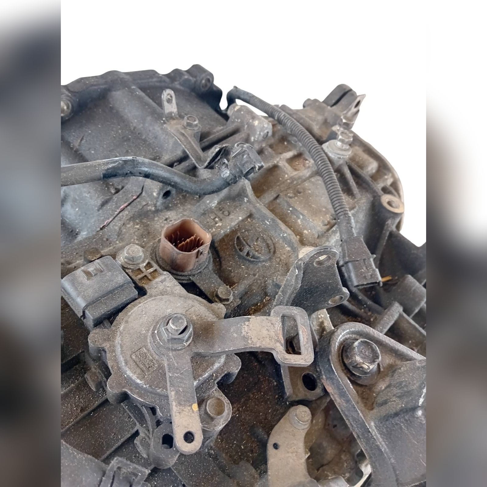 Miniatura 7