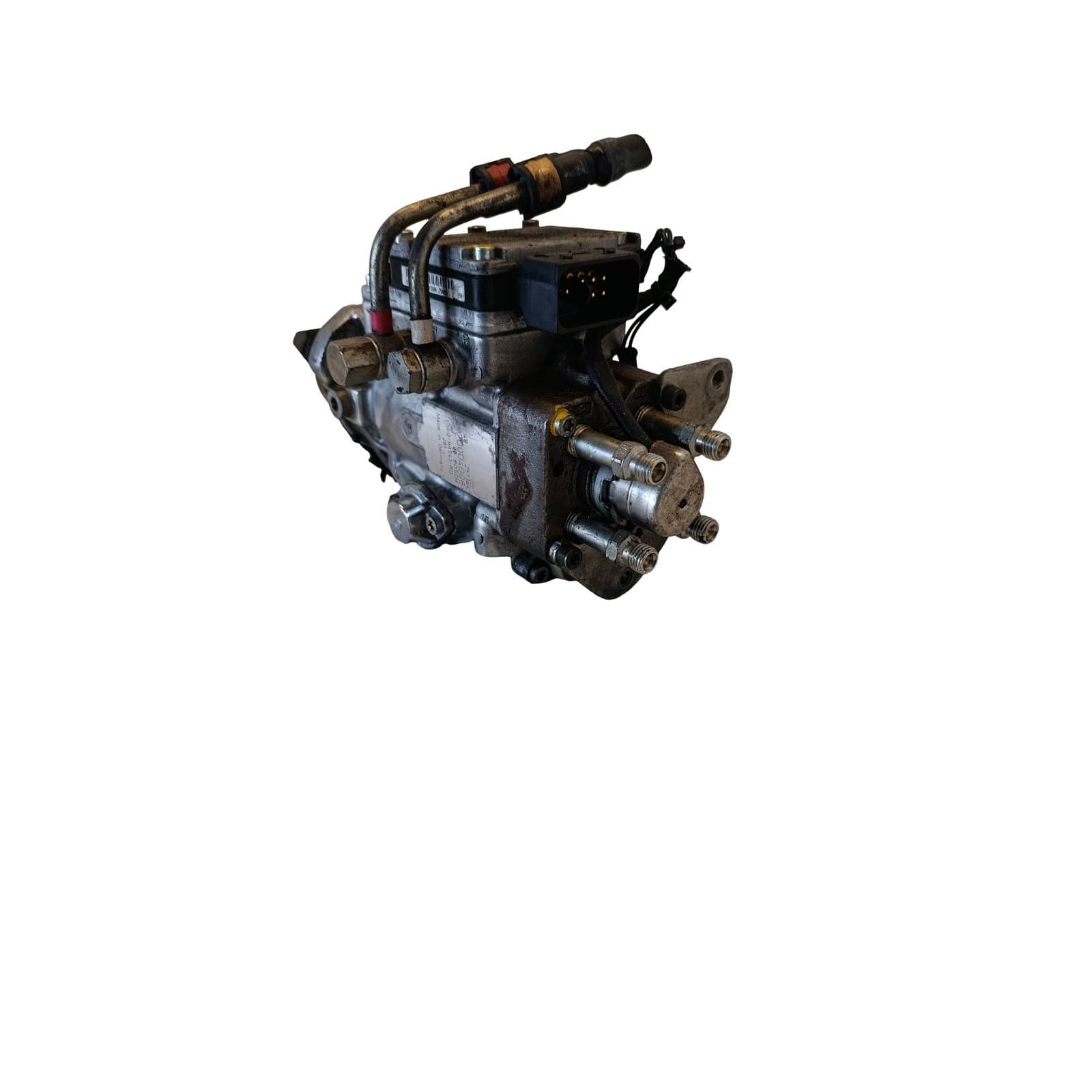 Miniatura 7