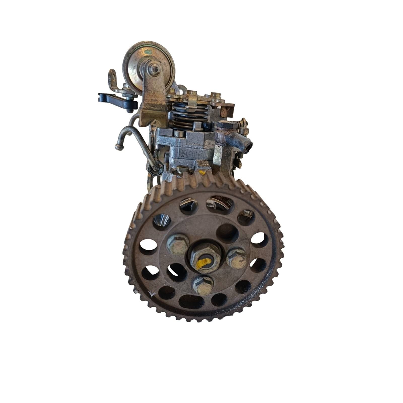 Miniatura 6