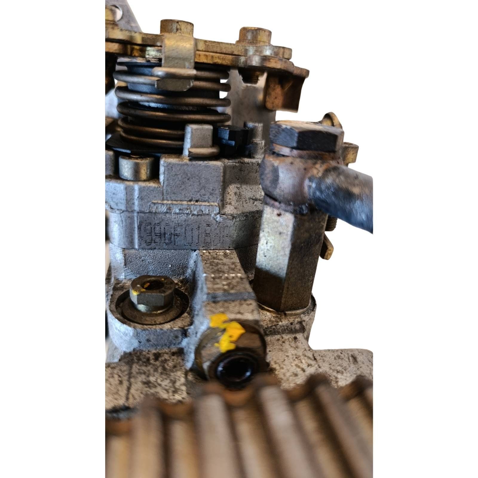 Miniatura 7