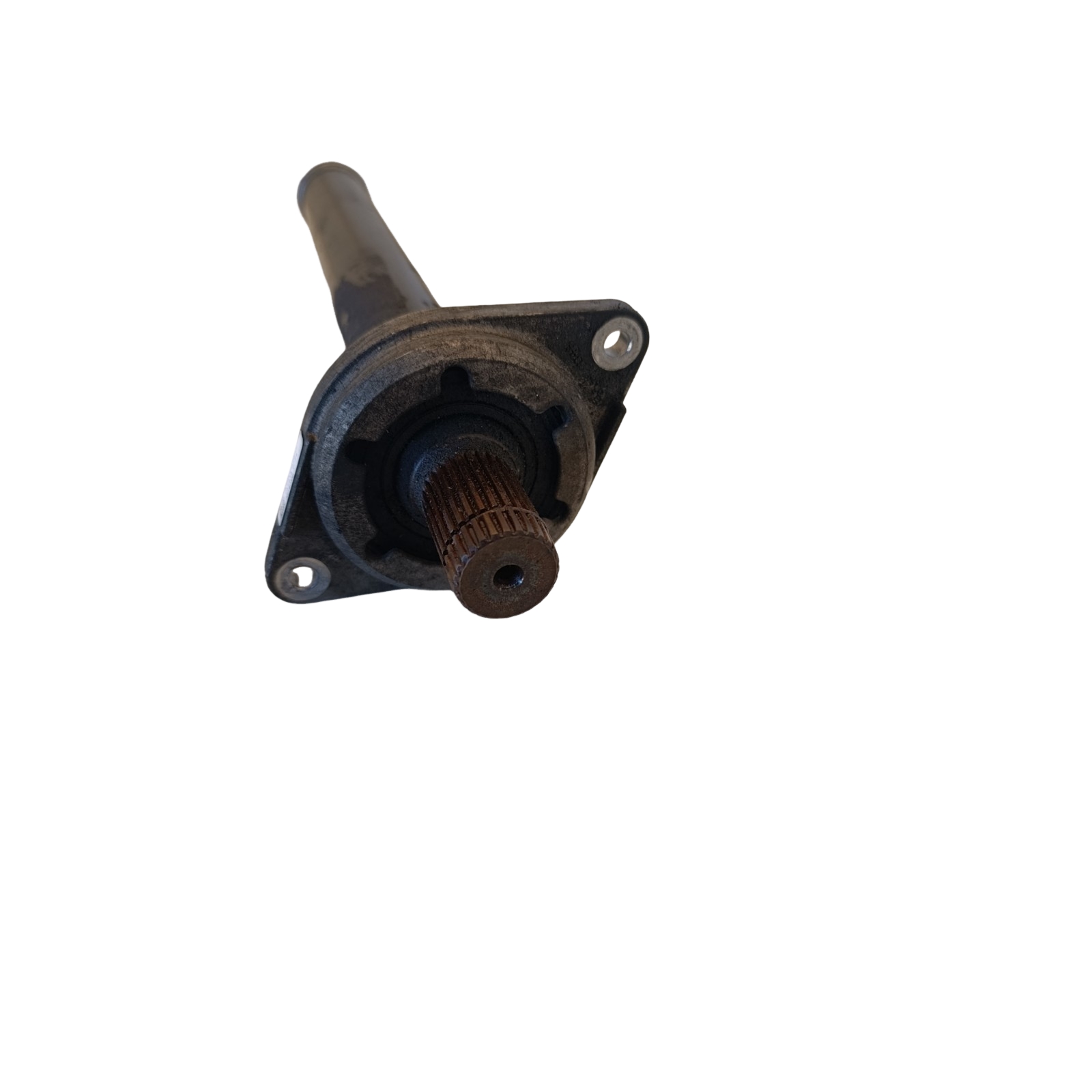 Miniatura 11