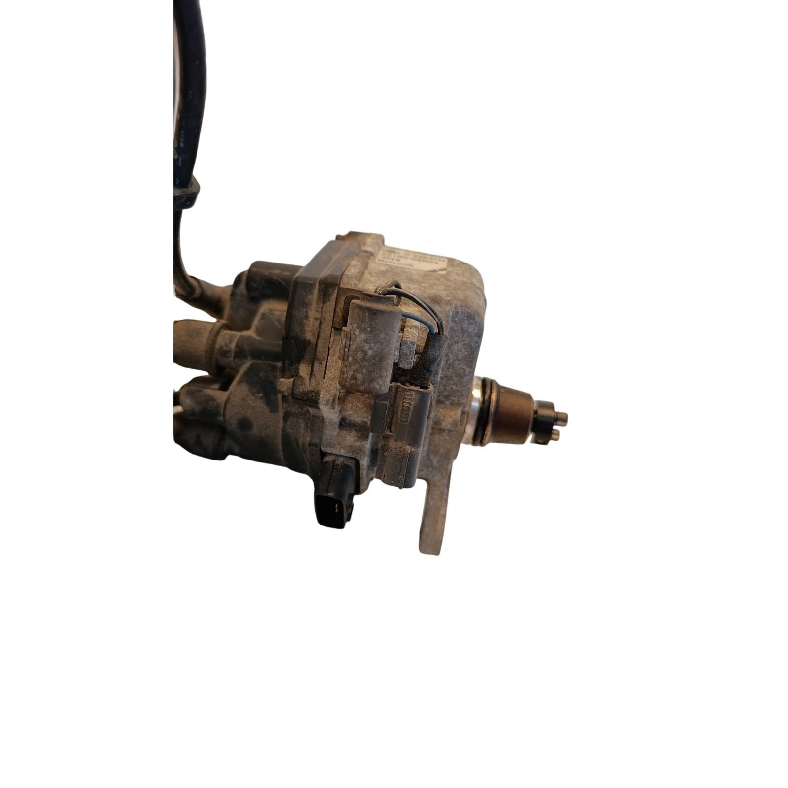 Miniatura 8