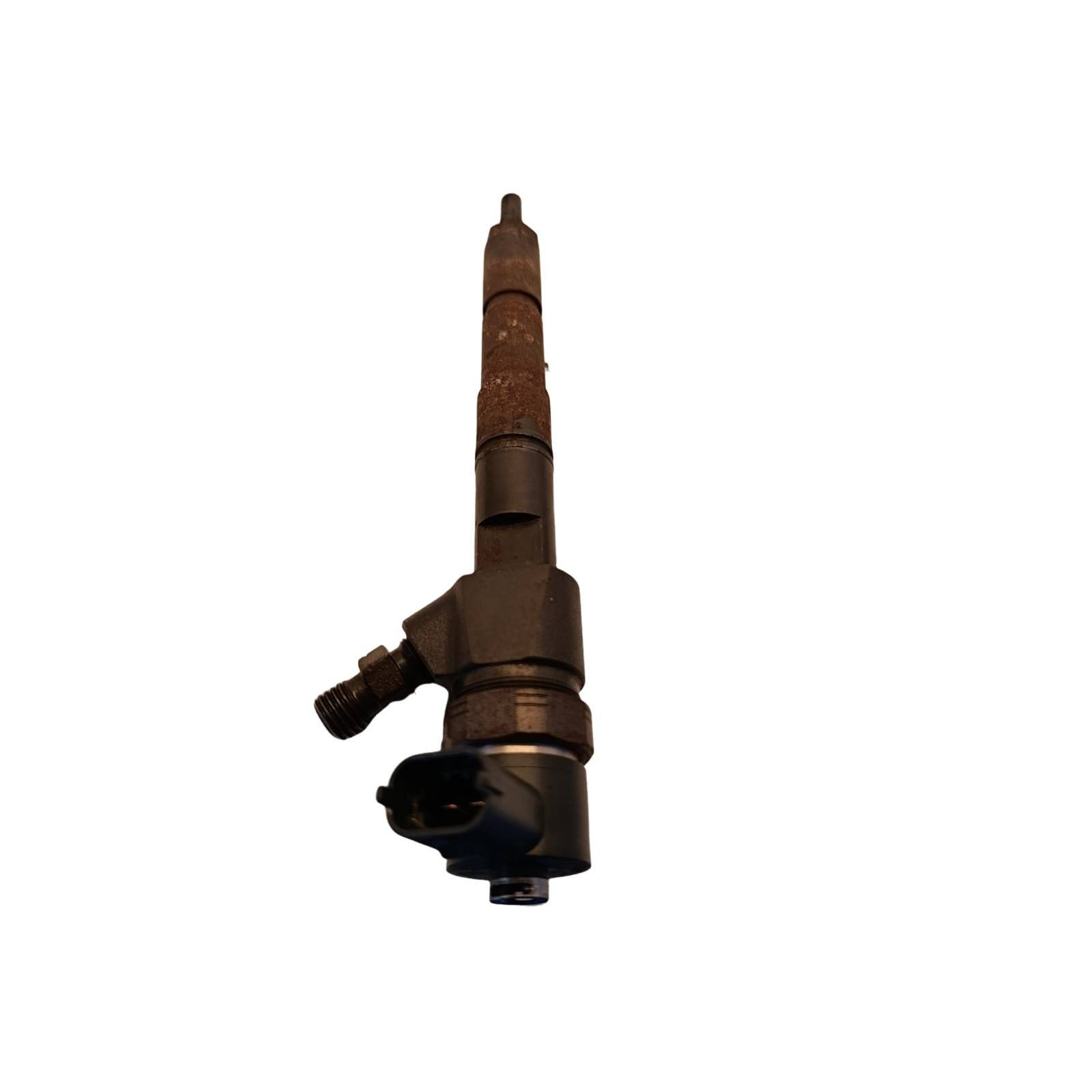Miniatura 12