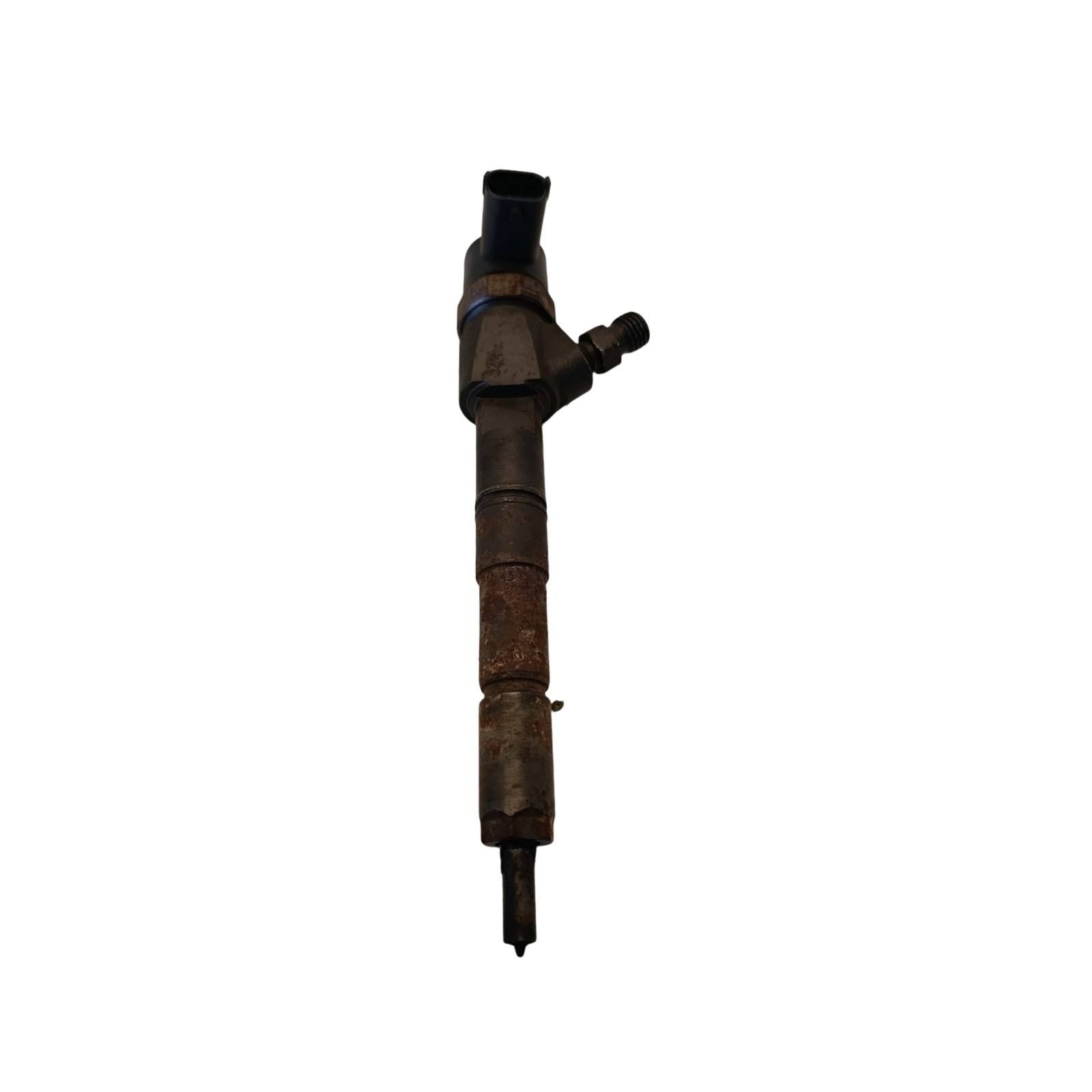 Miniatura 13
