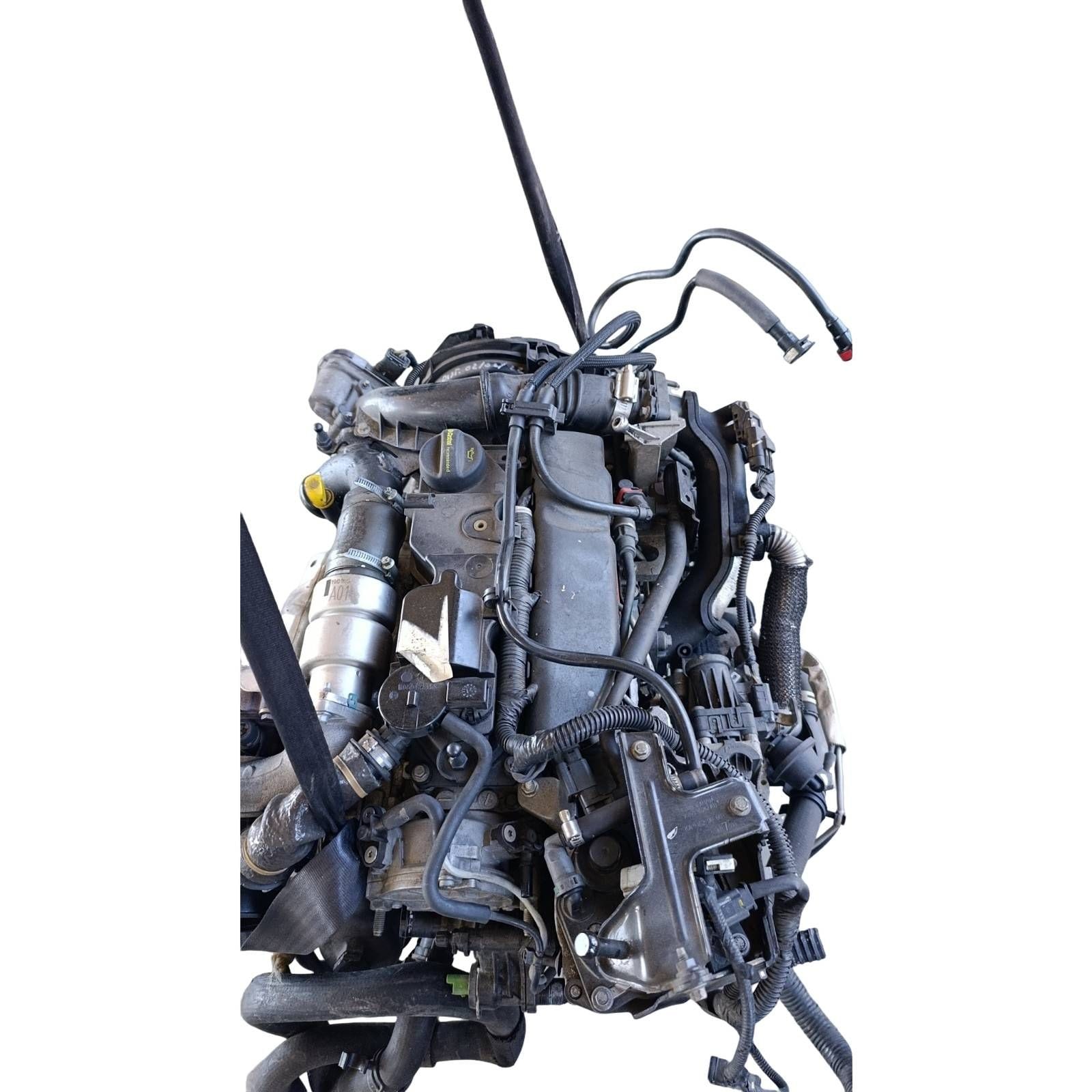 Miniatura 6