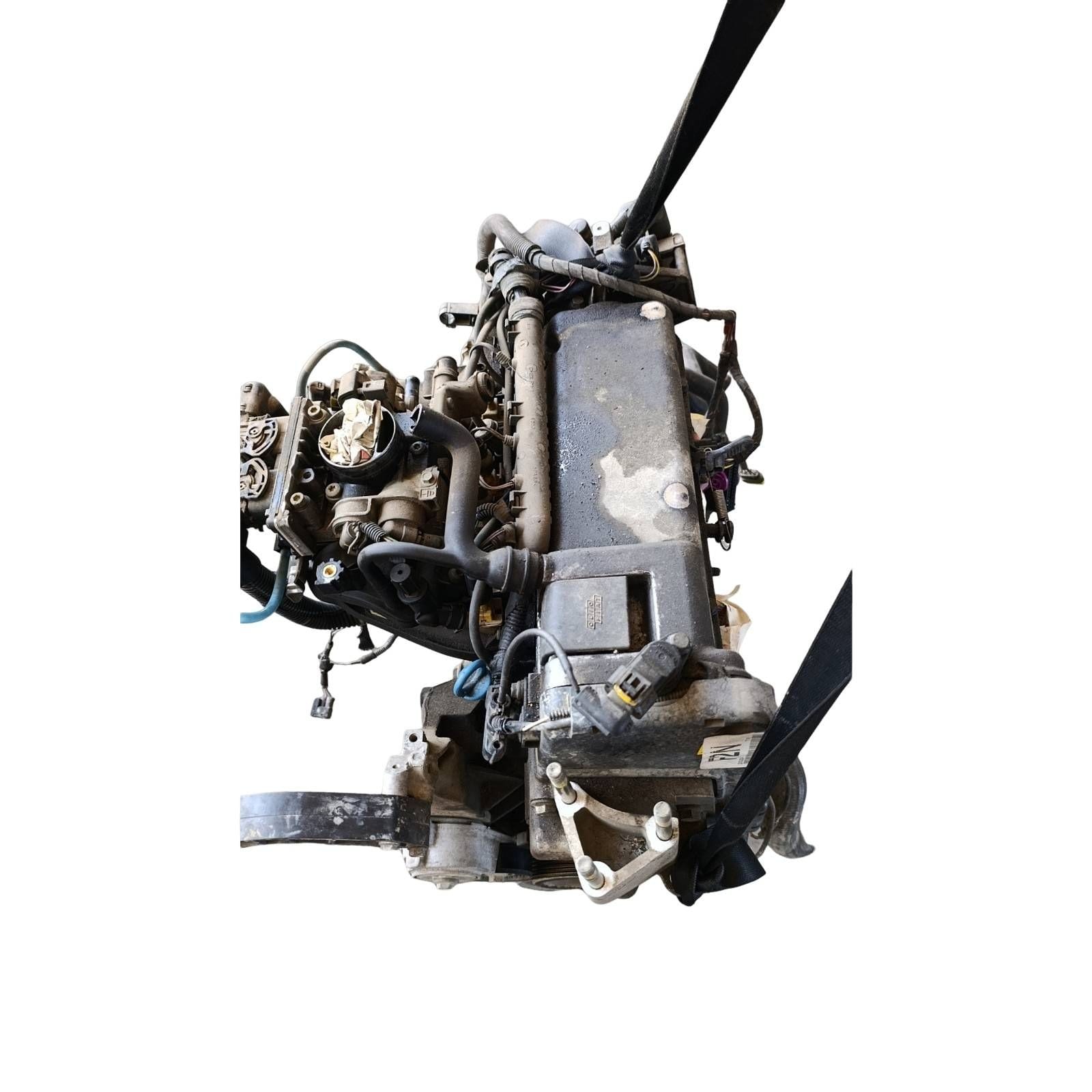 Miniatura 7