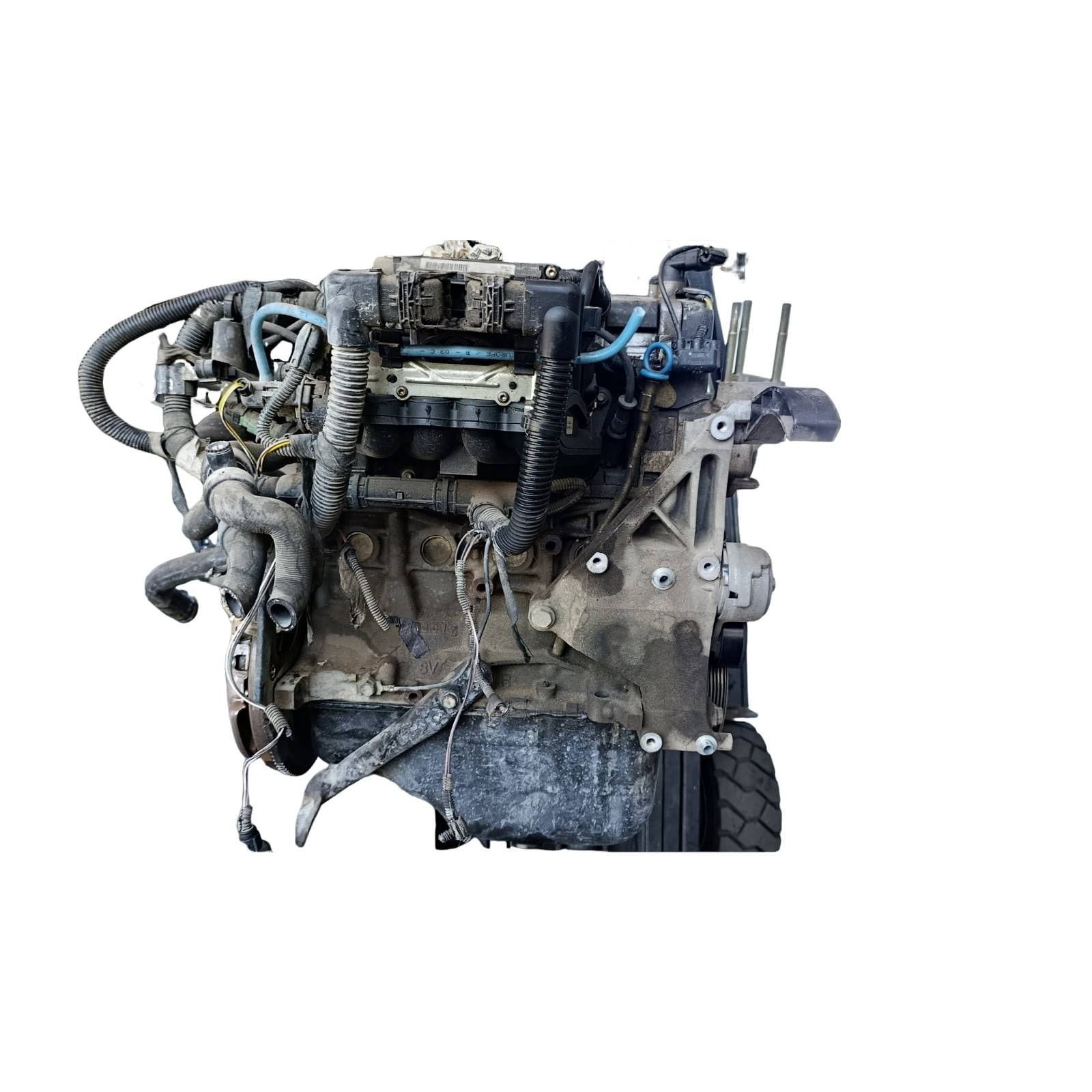 Miniatura 8
