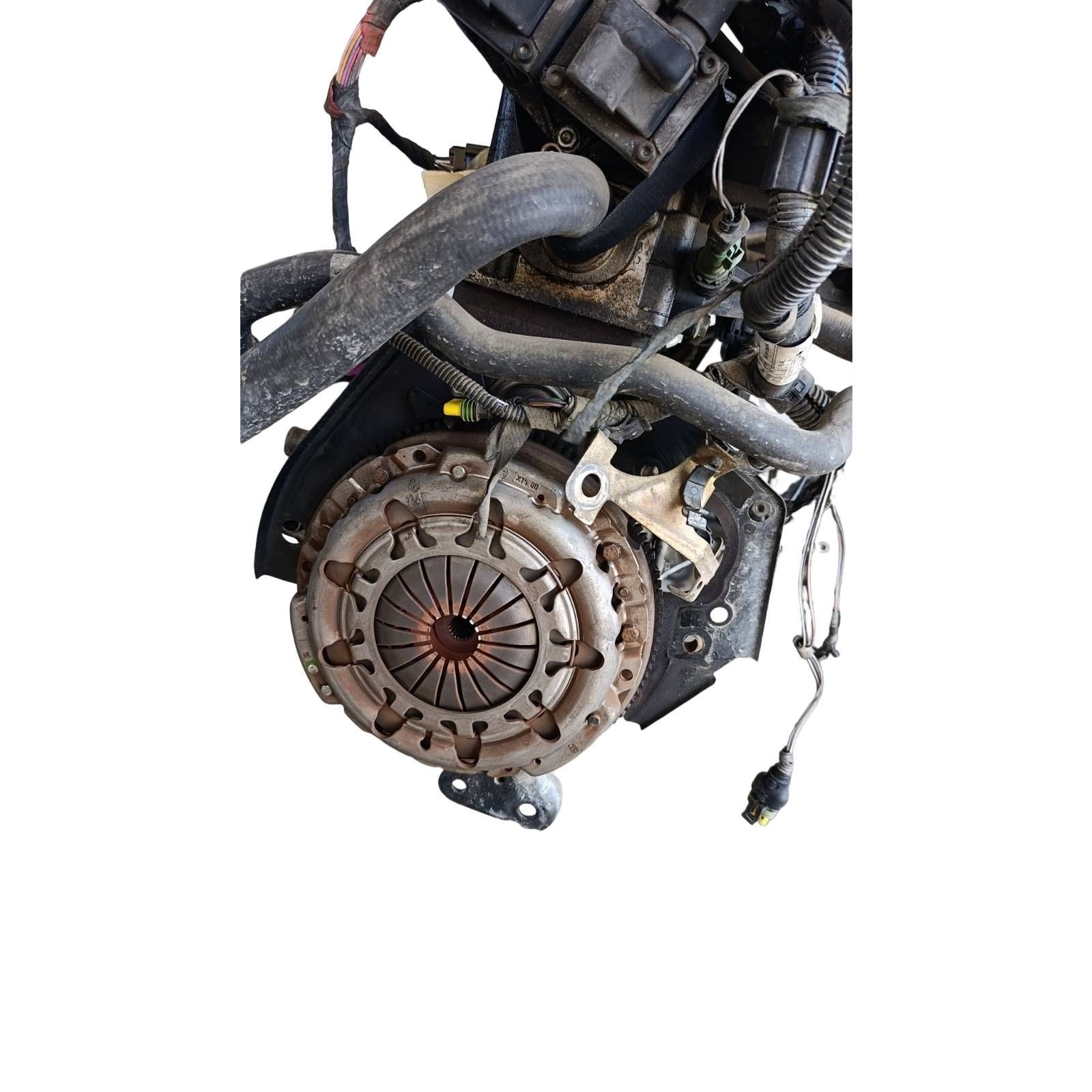 Miniatura 9