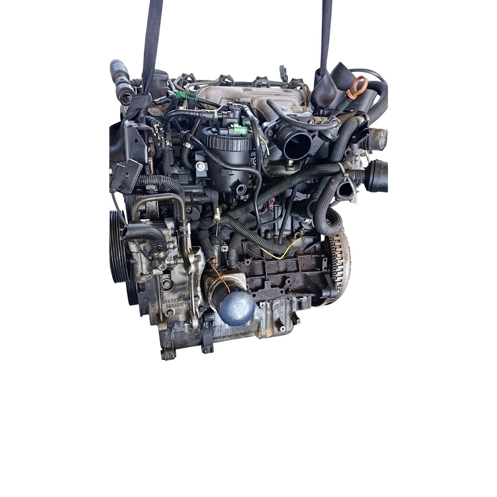 Miniatura 5