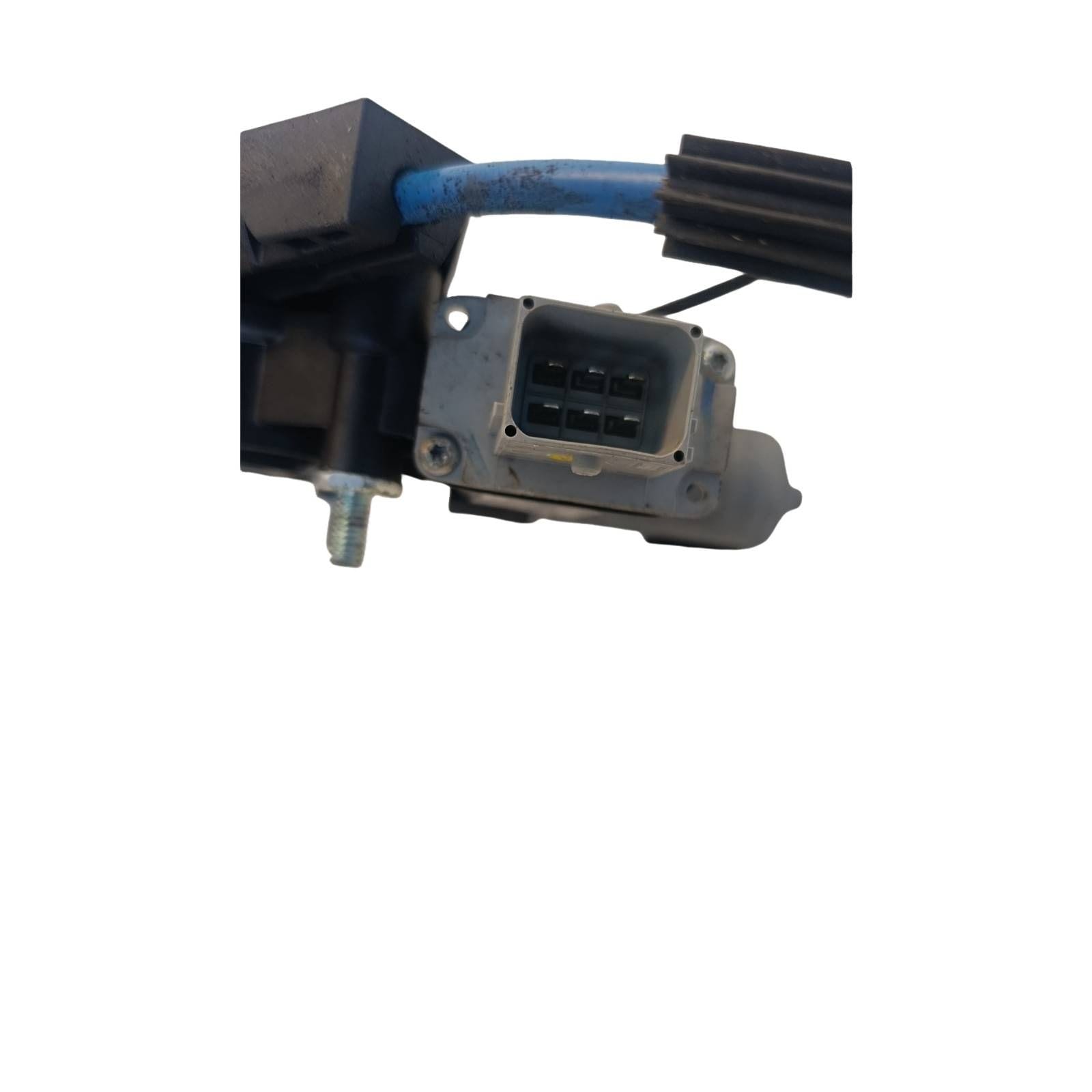 Miniatura 12