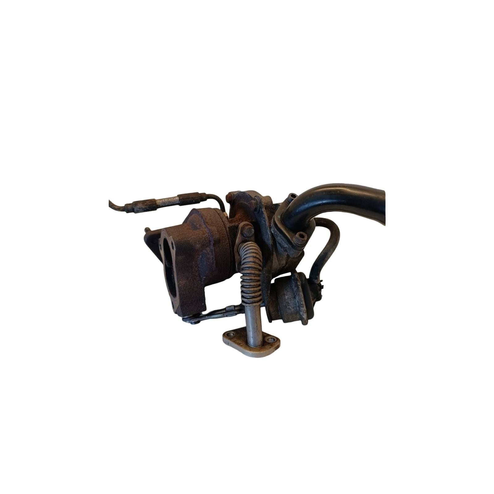 Miniatura 7