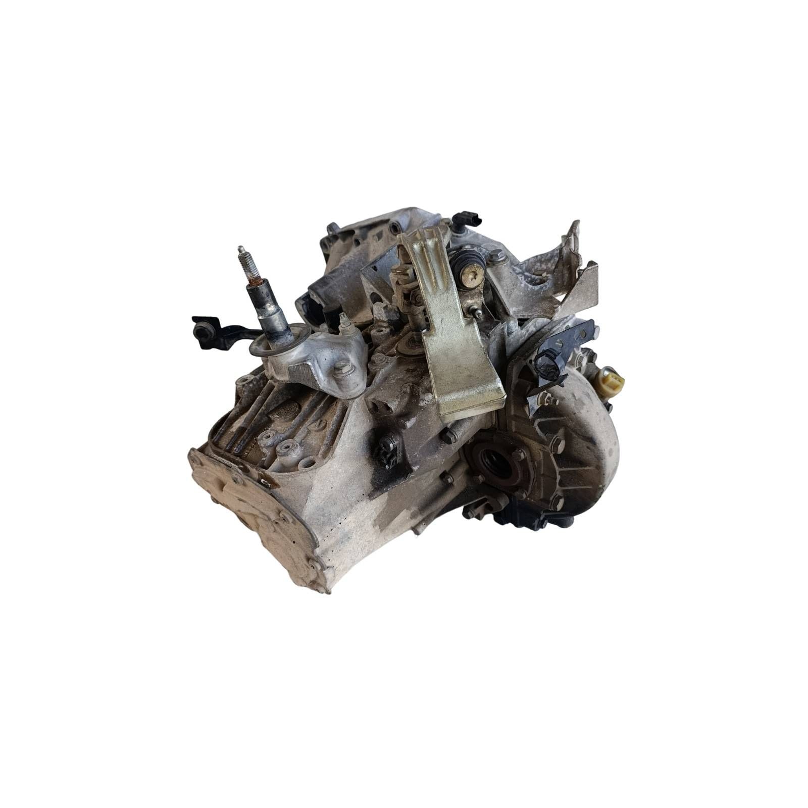 Miniatura 5