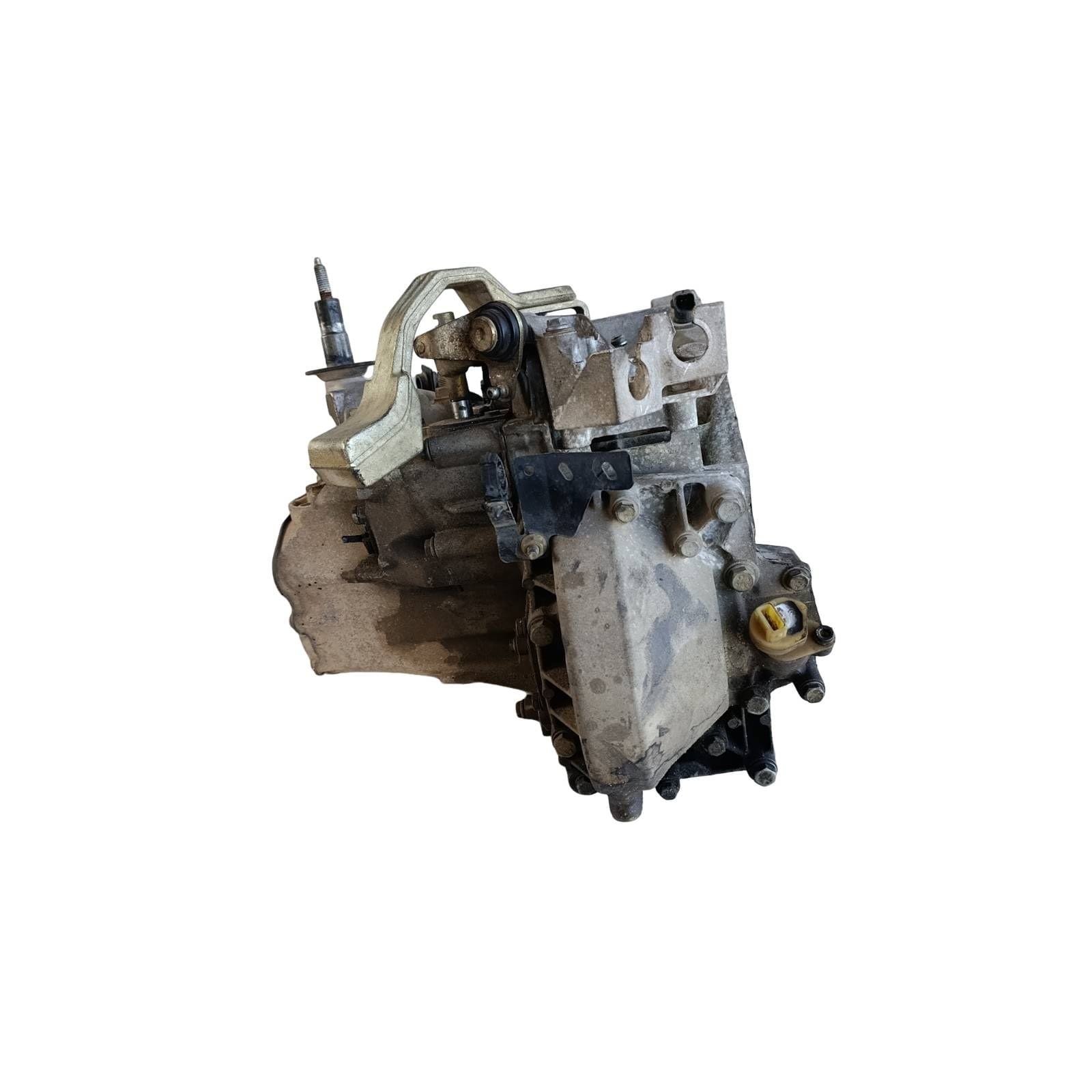Miniatura 6