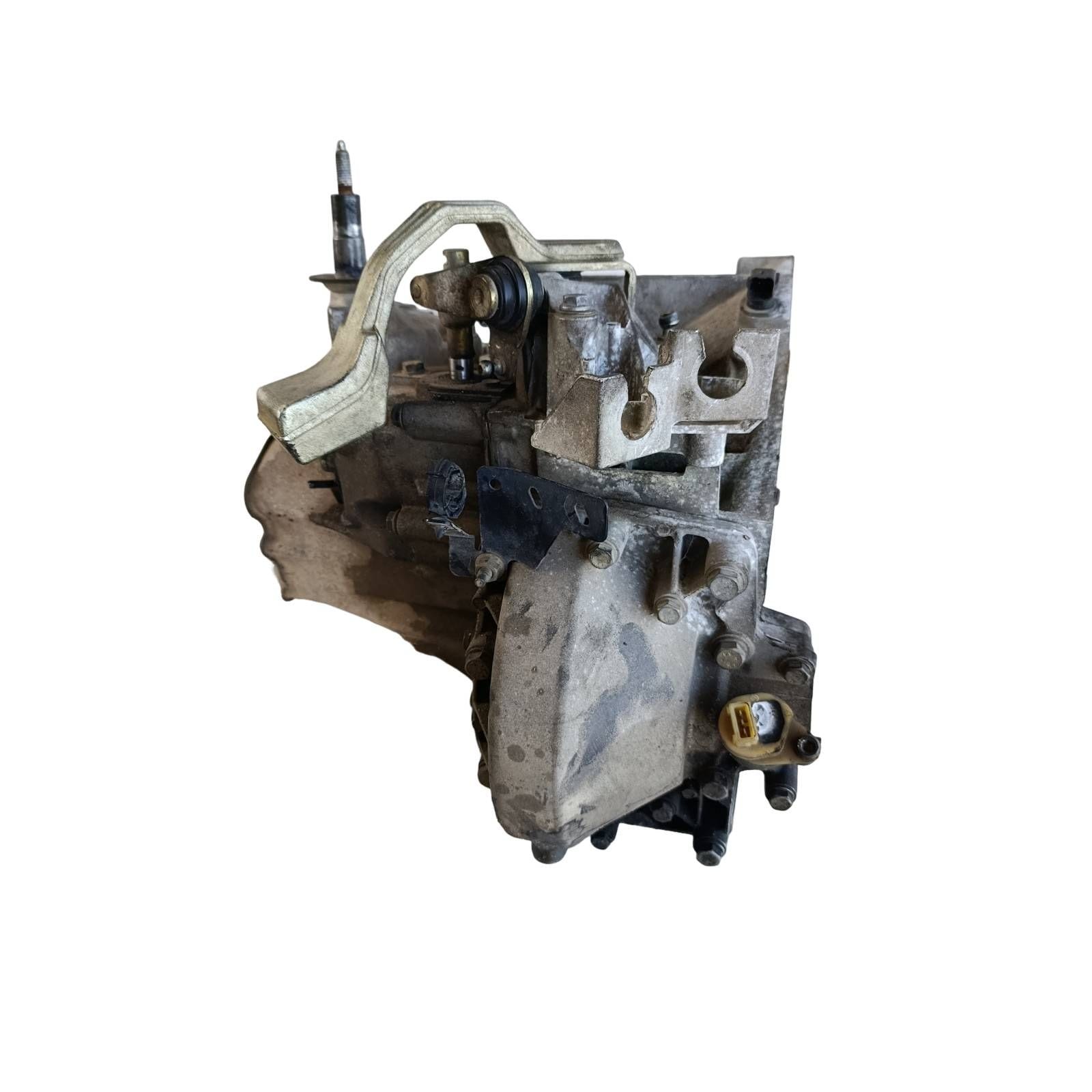 Miniatura 12