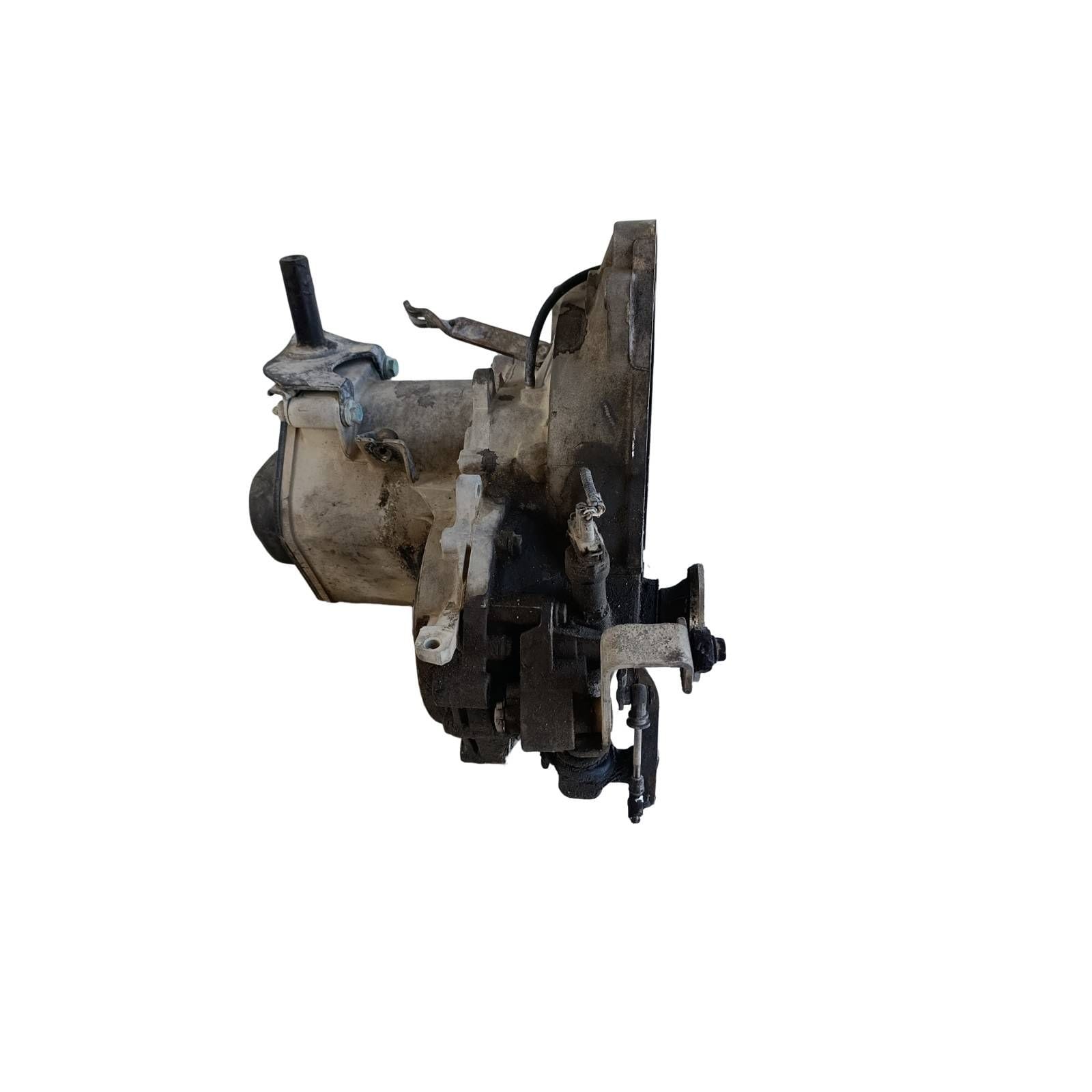Miniatura 7